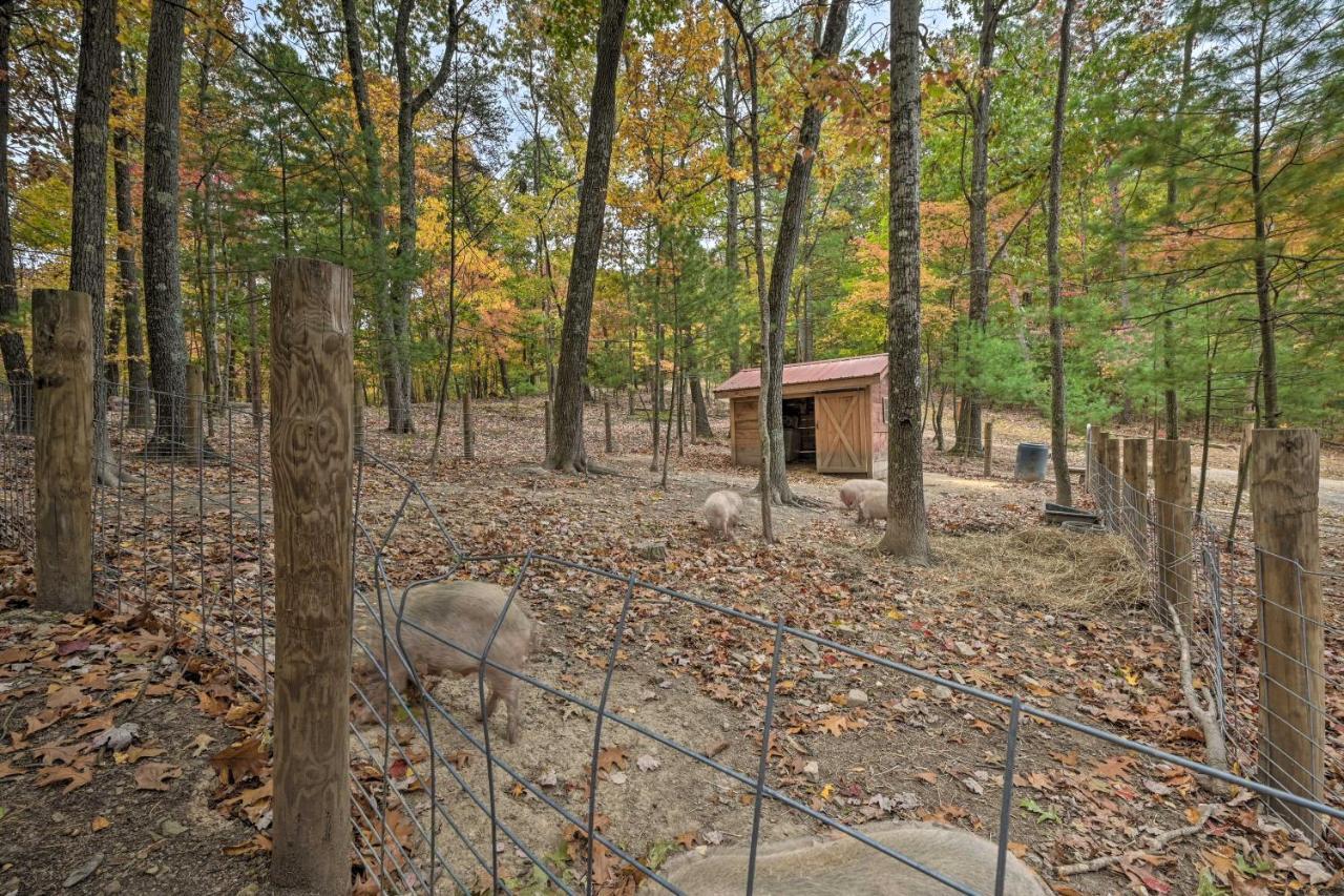 Rustic Clint Eastwood Ranch Apt By Raystown Lake Huntingdon Exterior photo